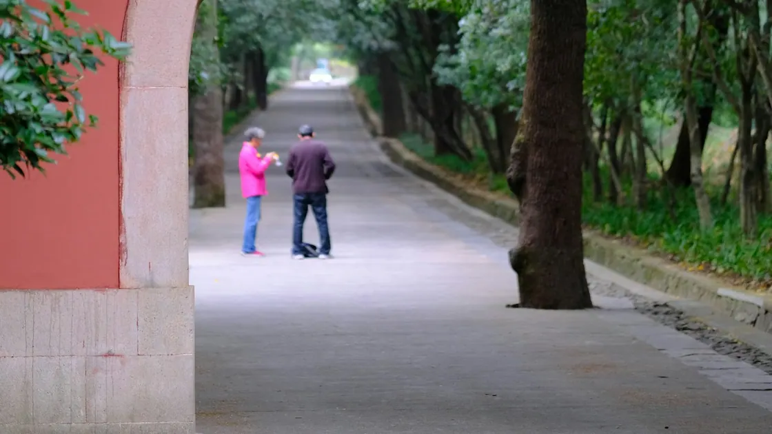 A tree-lined avenue seen through a red stone archway
